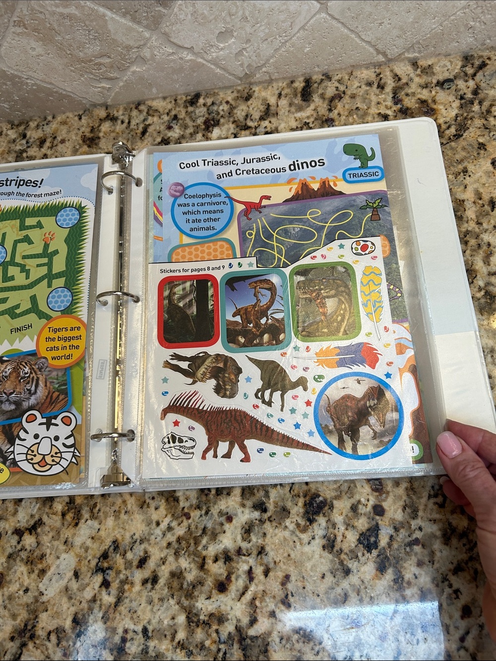 National Geographic Sticker Book - Picture 13 of 16